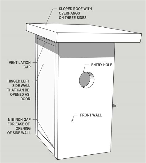 does a bluebird house need metal around the opending|bluebird house hanging location.